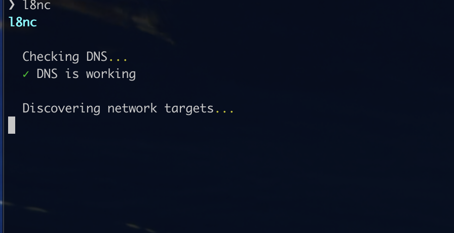 l8nc starting up — checking DNS and discovering network targets